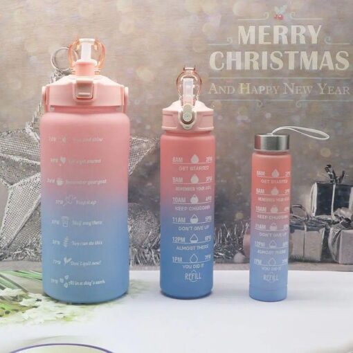 Lot de 3 Bouteilles pour Sport et Musculation - couleur aleatoire Lot de 3 Bouteilles pour Sport et Musculation - couleur aleatoire
