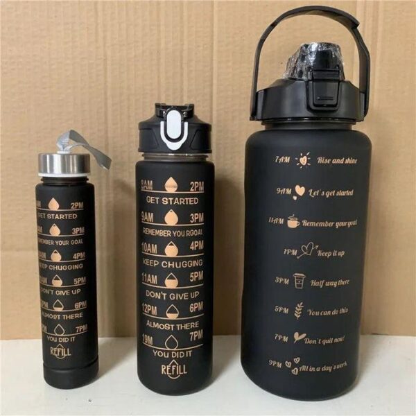 Lot de 3 Bouteilles pour Sport et Musculation - couleur aleatoire
