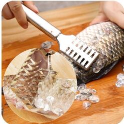 Écailleur de Poisson – Acier Inoxydable – Outil de Cuisine Pratique – 20 cm