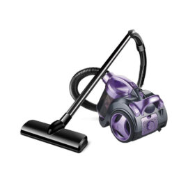 Aspirateur RAF R.8662P - 1200W