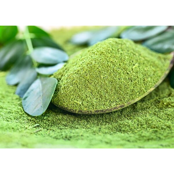 Poudre de Moringa -Thé Rapie-1kg Poudre de Moringa -Thé Rapie-1kg