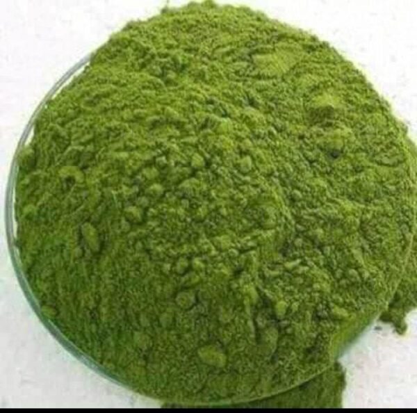 Poudre de Moringa -Thé Rapie-1kg Poudre de Moringa -Thé Rapie-1kg