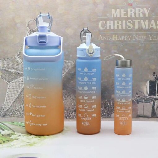 Lot de 3 Bouteilles pour Sport et Musculation - couleur aleatoire Lot de 3 Bouteilles pour Sport et Musculation - couleur aleatoire
