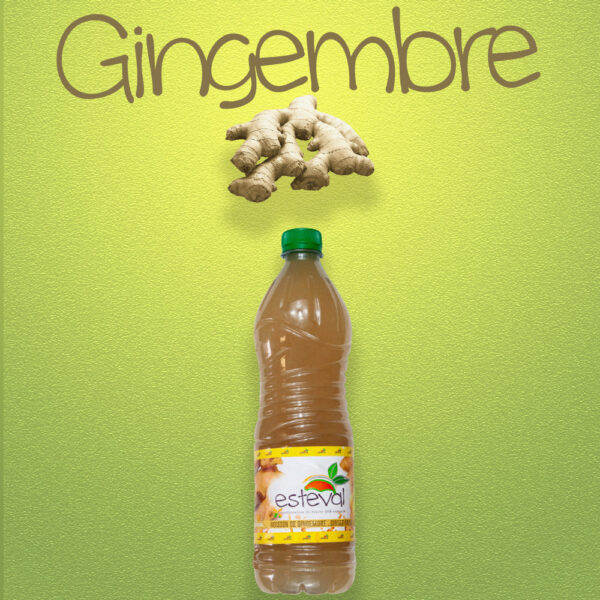 Jus de Gingembre Estival 1L Jus de Gingembre Estival 1L