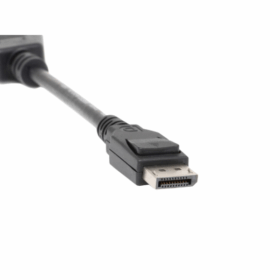 Adaptateur DisplayPort vers DVI-D BizLink BZL-KS10009 – Image 2