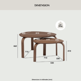 Ensemble de 2 Tables Basses SANDRA 109 - 132053 – Image 6