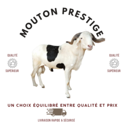 Mouton Prestige
