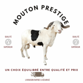 Mouton Prestige