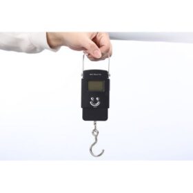 Balance électronique Avec Précision 5g-50kg