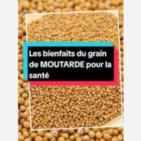 Graines de Moutarde Jaune BIO 100g – Digestives et Anti-Inflammatoires – 100% Naturelles