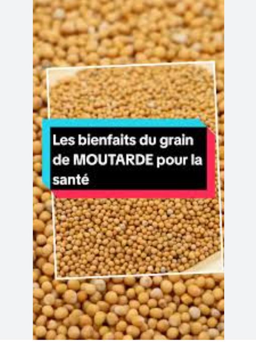 Graines de Moutarde Jaune BIO 100g – Digestives et Anti-Inflammatoires – 100% Naturelles Graines de Moutarde Jaune BIO 100g – Digestives et Anti-Inflammatoires – 100% Naturelles