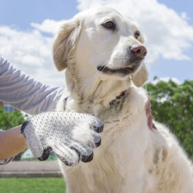 Gant pour Brosser et Masser les Animaux Domestiques Relpet (Reconditionné A) – Image 8