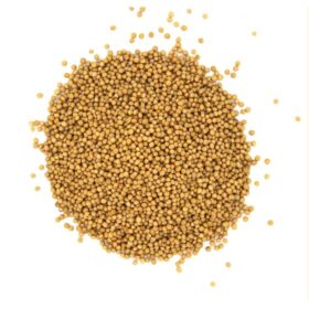 Graines de Moutarde Jaune BIO 100g – Digestives et Anti-Inflammatoires – 100% Naturelles – Image 2