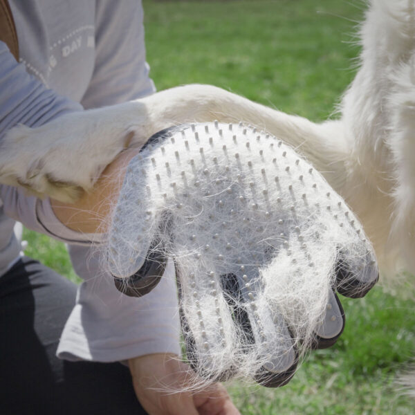 Gant pour Brosser et Masser les Animaux Domestiques Relpet (Reconditionné A)