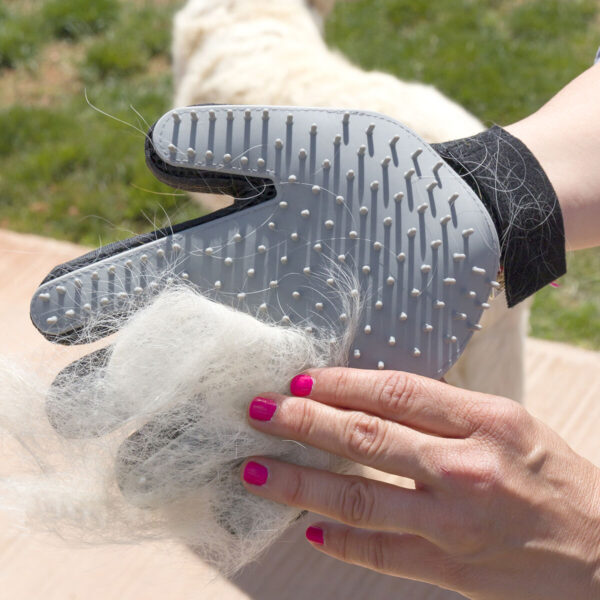 Gant pour Brosser et Masser les Animaux Domestiques Relpet (Reconditionné A)