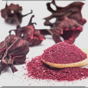Poudre d’Hibiscus Katiopa 1kg – Soins Capillaires Naturels – Image 2