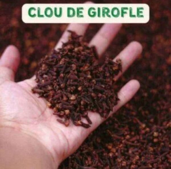 Poudre de Clou de Girofle 180g – Épice Naturelle Multi-Usages Cuisine, Tisane & Soins Poudre de Clou de Girofle 180g – Épice Naturelle Multi-Usages Cuisine, Tisane & Soins