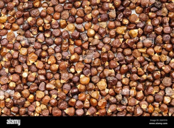 Piment de Guinée 100g – Épice naturelle aux vertus digestives, antiseptiques et aphrodisiaques Piment de Guinée 100g – Épice naturelle aux vertus digestives, antiseptiques et aphrodisiaques