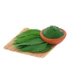 Poudre laurier 100g – Image 3