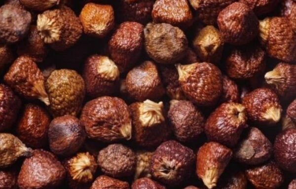 Piment de Guinée 100g – Épice naturelle aux vertus digestives, antiseptiques et aphrodisiaques Piment de Guinée 100g – Épice naturelle aux vertus digestives, antiseptiques et aphrodisiaques
