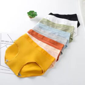 Ensemble de 5 Slips Femme Multicolores