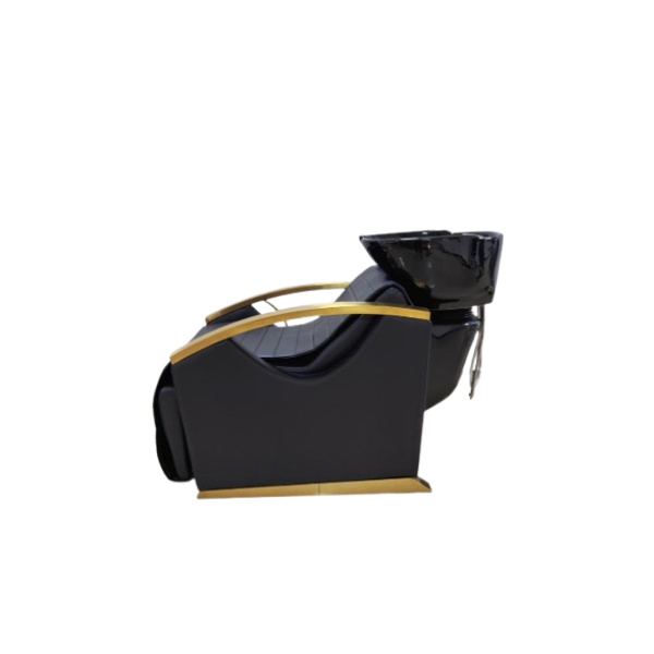 Chaise Lave Tête W-S007-1 – Confort, Ergonomie et Design Professionnel Chaise Lave Tête W-S007-1 – Confort, Ergonomie et Design Professionnel