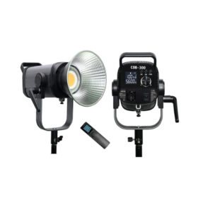 Lampe Projecteur COB-300WRC-300W