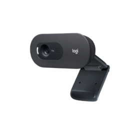 Webcam Logitech C505E-Microphone Omnidirectionnel