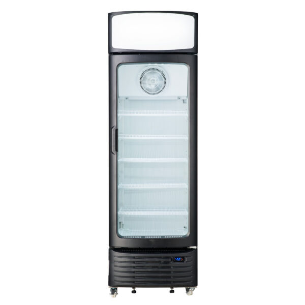 Réfrigerateur vitrine Hisense FL50FC 382L