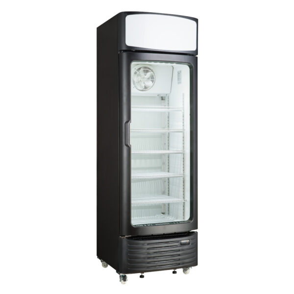 Réfrigerateur vitrine Hisense FL50FC 382L