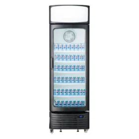 Réfrigerateur vitrine Hisense FL50FC 382L