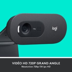 Webcam Logitech C505E-Microphone Omnidirectionnel – Image 2