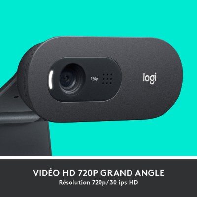 Webcam Logitech C505E-Microphone Omnidirectionnel Webcam Logitech C505E-Microphone Omnidirectionnel