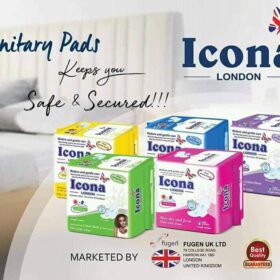 Carton Économique de 24 Paquets – Serviettes Hygiéniques