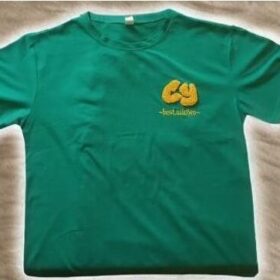 T-shirt Vert Unisexe – Taille M – Coton Softstyle Pré-rétréci – Image 2