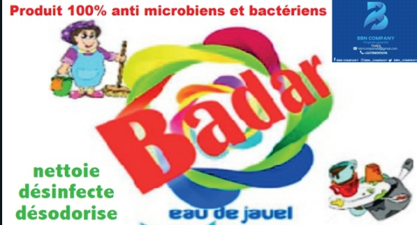 Eau de Javel Badar – Carton de 12 x 1L