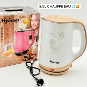 Bouilloire Électrique en Inox 2.5L