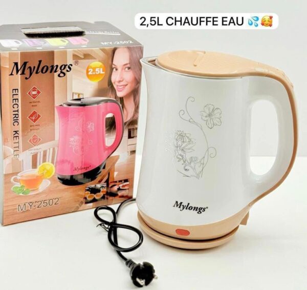 Bouilloire Électrique en Inox 2.5L