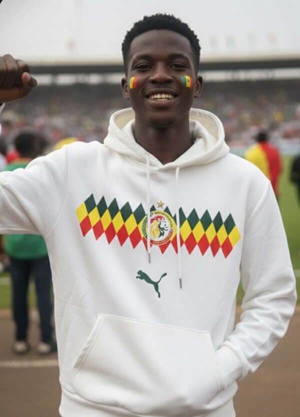 Pull à capuche Sénégal — Hoodie confortable, plusieurs couleurs