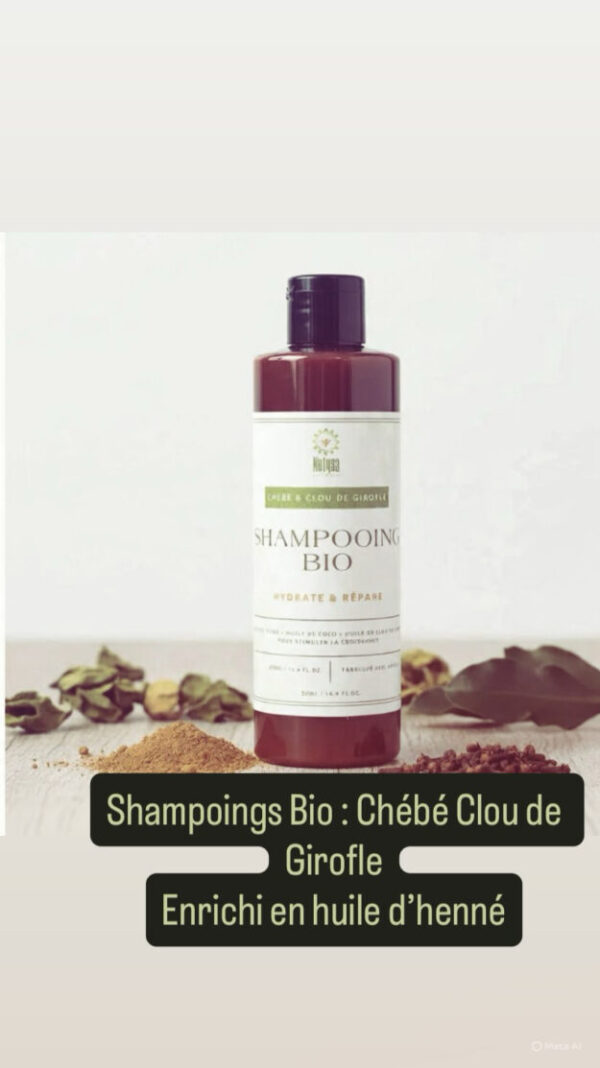 Shampoing Chebe Clou de Girofle- Thé Rapie