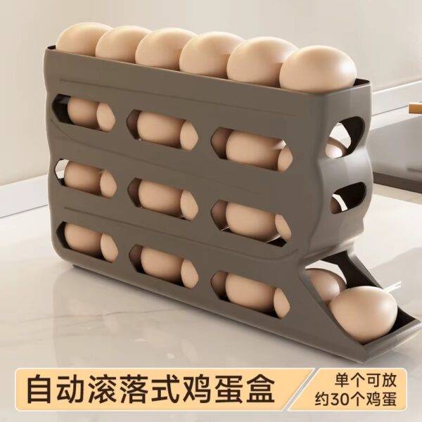 Rangement - distributeur d'œufs - 4 niveaux