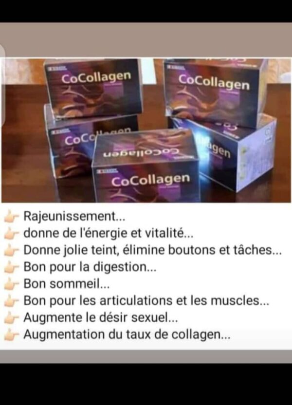 COCOLLAGEN Boisson instantanée au chocolat
