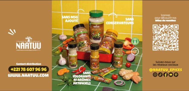 NAATUU — Marinade Salade, boîte de 20 sticks portionnés