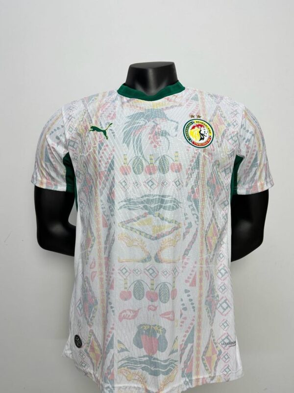 Maillots coupe du monde