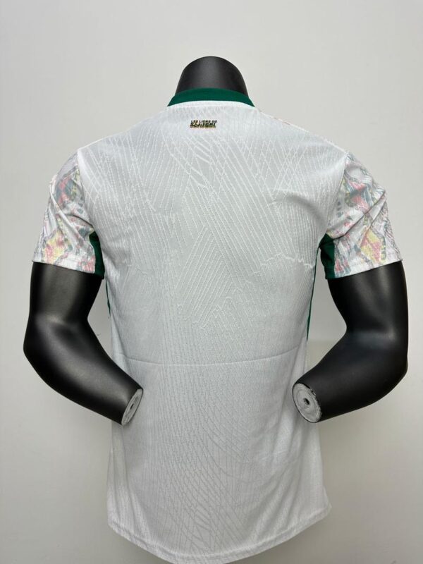 Maillots coupe du monde