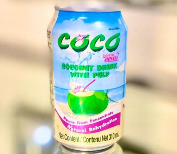Boisson à la noix de coco 310 ml — avec pulpe