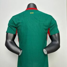 Maillots coupe du monde – Image 2