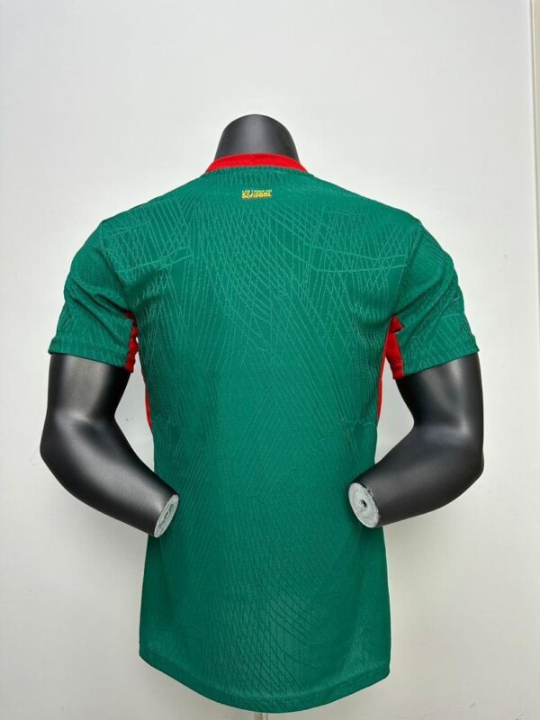Maillots coupe du monde