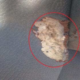 SALON TISSU 6 PLACES AMANDO BLEU INK TEX208-17 RECOND