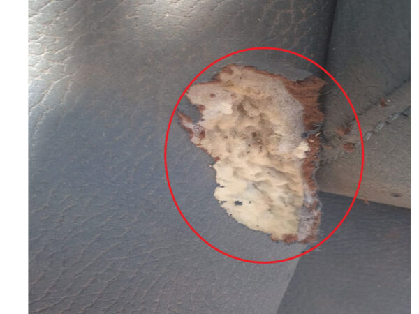 Salon 6 Places AMANDO Bleu Ink-TEX208-17 (Reconditionné)